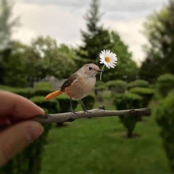 HalitYasir's tweet photo. “Nezâket hiç’ten gelir, her şeyi satın alır.”

Hayırlı Cumâlar. https://t.co/RPJLfd6Z0U
