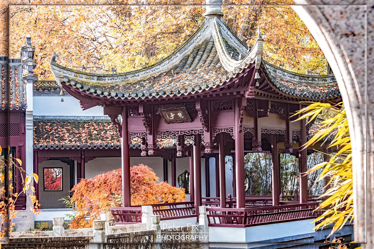 peterfix_photo's tweet photo. Bethmannpark Frankfurt, Germany 📸🌍
#frankfurt #germany #travelphotography #travelphoto #sightseeing #tourisme #travel #bethmannpark https://t.co/56mUwwusaK