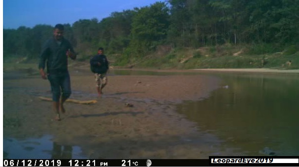 There's a short post re this at wildleopard.net/site/coexisten… but real time monitoring with LeopardEye is vital.  This image just sent to base through the network as the team monitors tiger movement in a village area close to a where a human fatality occurred.