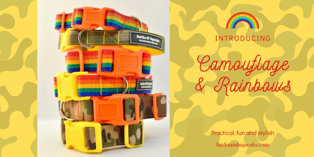 Practical, fun &amp; stylish collars for dogs who like to play AND look good!  My new range of hand made rainbow &amp; camouflage collars has just launched. Available in 2 widths, a range of sizes with orange or yellow lining and clasps #dogs #doglover #handmade  barksandsqueaks.com/product-catego…