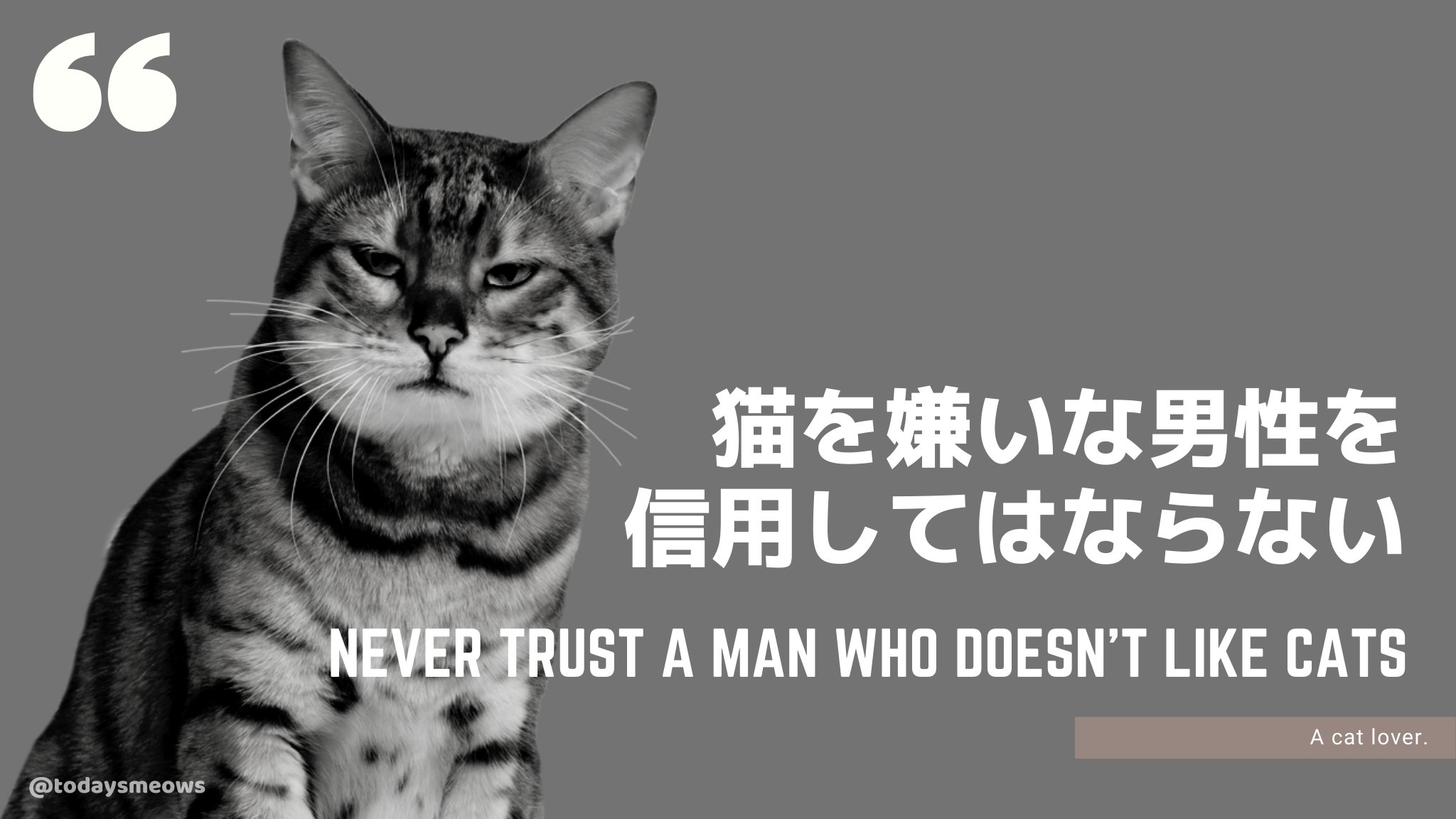 面白格言 Twitter Search Twitter