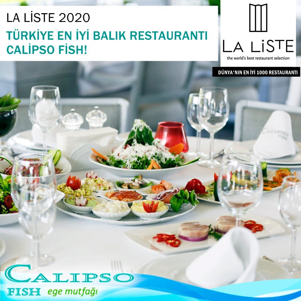 Calipso Fish (@CalipsoFish) / Posts / X