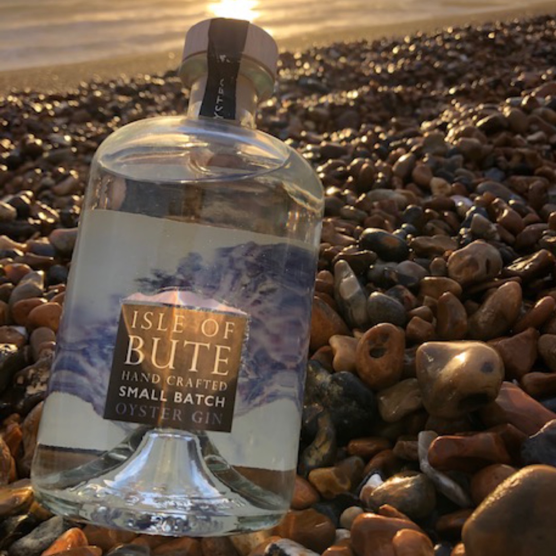 Bute Abroad #3 - Our friends in Brighton sent us this snap of a bottle of Oyster Gin trying to find it's way back to the sea.
.
.
.
#gintravel #gingram #oystergin #brighton #buteabroad #pebblebeach #scottishginlove #isleofbute