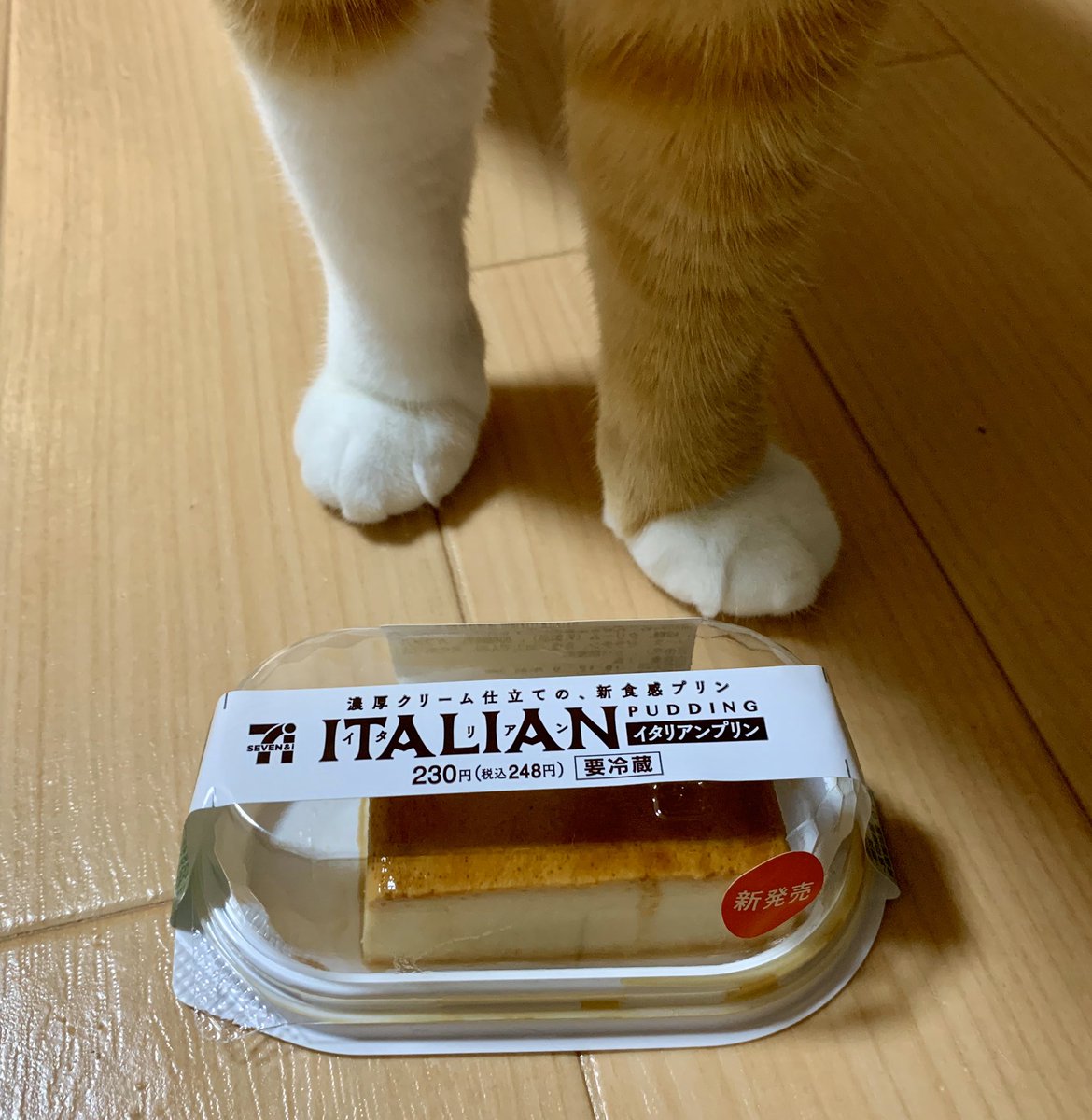 2おてて セブンのイタリアンプリンが思ったより小さかったので猫さんのお手手を借りて大きさを伝える 猫が巨大なのかも Togetter