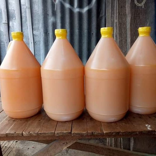 SennieGang's tweet photo. Concentrated juice for sale 150 pesos only for 1 galoon 2 or more will be free delivery.. Just pm me in my twitter account or in my Facebook account Sennie Ranis https://t.co/LS8BVwcZUt