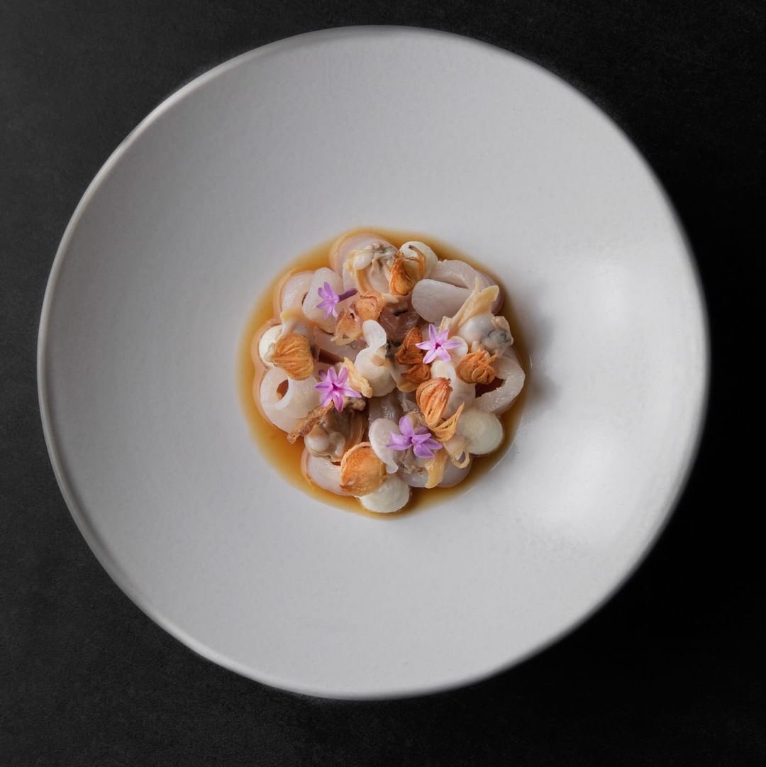 MasterChefsLife's tweet image. Cured pomfret, clam custard, crispy shallot, ponzu and pickled Javanese clams