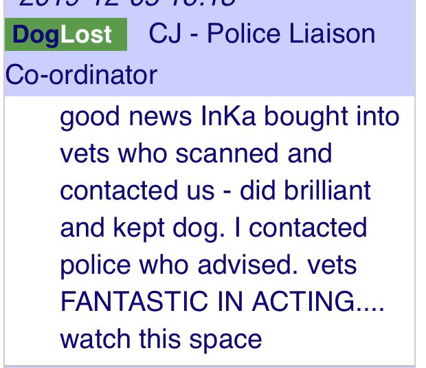 rosieDoc2's tweet photo. ❤️❤️❤️INKA IS HOME❤️❤️❤️
❤️JUST FANTASTIC NEWS - INKA stolen, 13/8/19 along with her friend LUNA is home safe❤️ #LetsfindLuna 😞
https://t.co/5x8xMXn3F8
LUNAS DL LINK ⬇️
https://t.co/7aHdBKx0Zk https://t.co/uKTp5XKqeJ