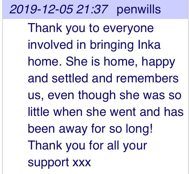 rosieDoc2's tweet photo. ❤️❤️❤️INKA IS HOME❤️❤️❤️
❤️JUST FANTASTIC NEWS - INKA stolen, 13/8/19 along with her friend LUNA is home safe❤️ #LetsfindLuna 😞
https://t.co/5x8xMXn3F8
LUNAS DL LINK ⬇️
https://t.co/7aHdBKx0Zk https://t.co/uKTp5XKqeJ