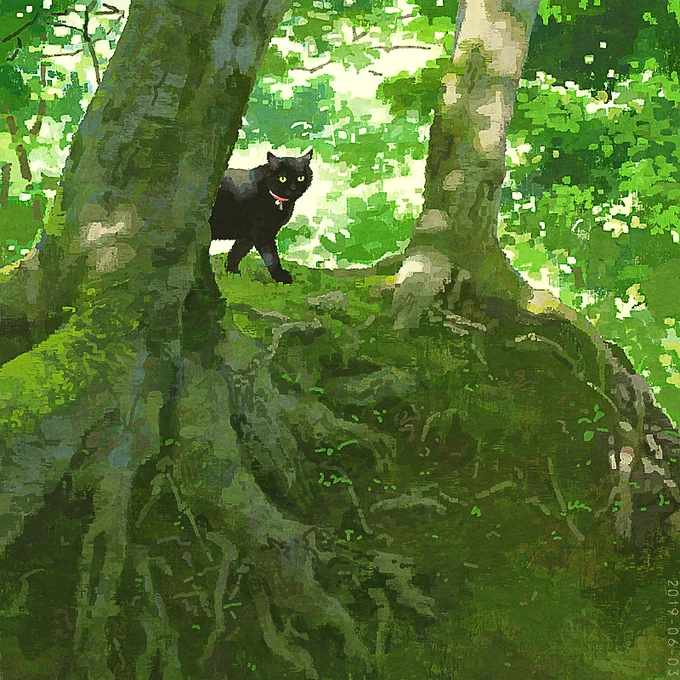 #2019年自分が選ぶ今年の4枚 