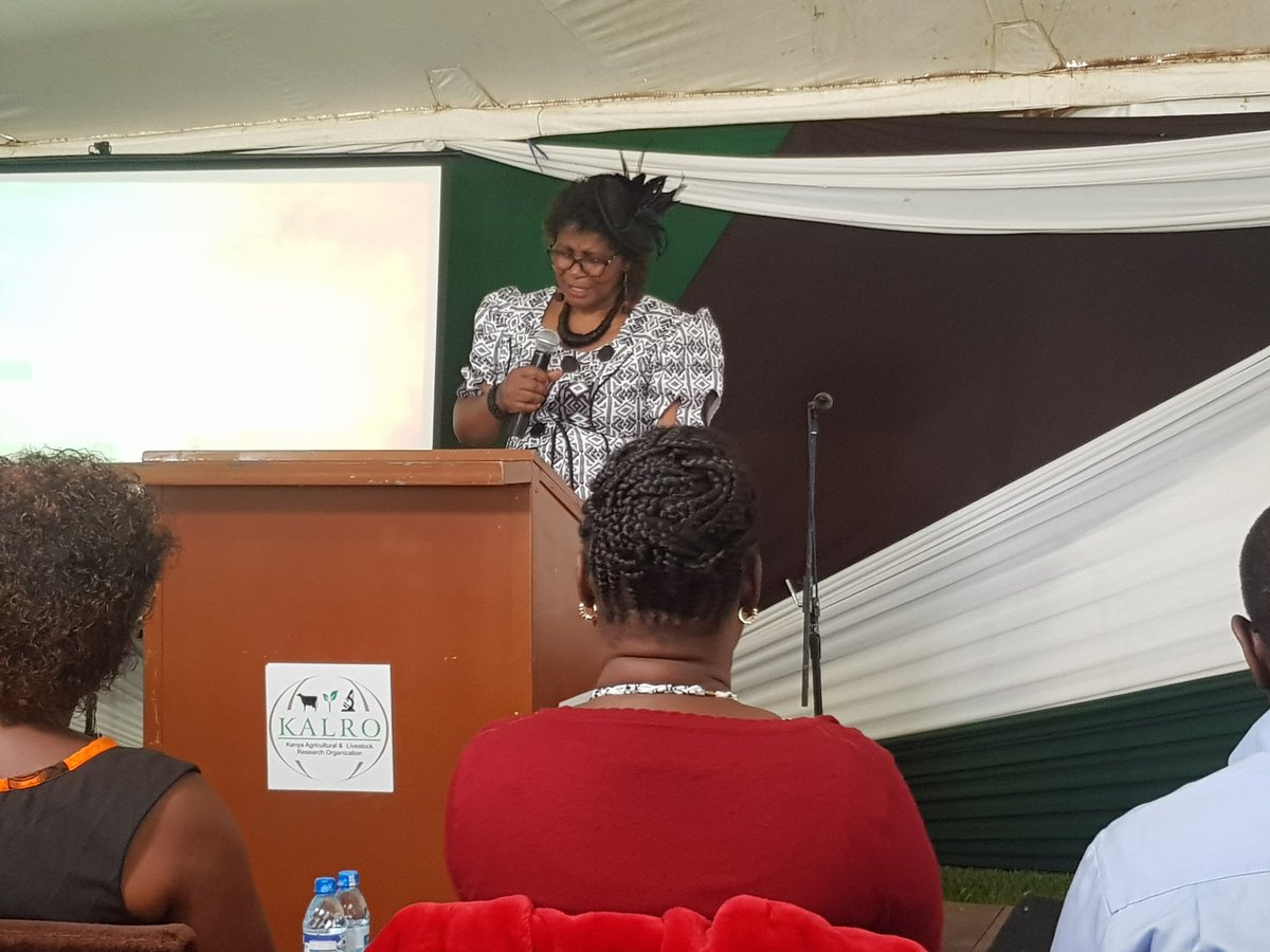 Catherine Taracha tweet media