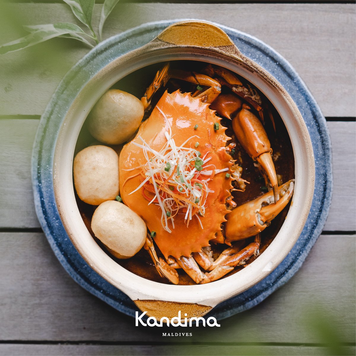 KandimaMaldives's tweet photo. The Seadragon does not offer anything short of freshness when it comes to Seafood. Choose live seafood from the tanks and get
them cooked as you wish. #HungryFriday #MyKindOfPlace #KandimaMaldives https://t.co/sU8mEP3XgG