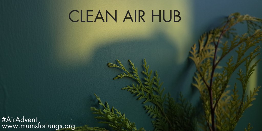 Day 6. Have you seen the excellent new #AirPollution resource, the #CleanAirHub? It's billed as everything you need to know about air pollution in one place. We really like the 'What Can I Do' section. #AirAdvent 
bit.ly/2OR9oFH