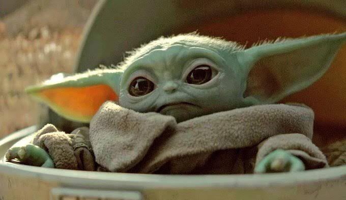babyyodaaah's tweet photo. Snuggle me, you must. https://t.co/XySUdIAuW5