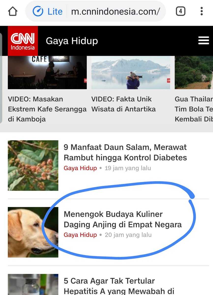 gitaby's tweet photo. @CNNIndonesia kayaknya kurang tepat pembahasan/sudut pandang artikel ini krn di Indonesia kita sdg menyerukan #SayNoToDogMeat #DogsAreNotFood. Kl mau membahas, lbh ke ajakan untuk tidak mengkonsumsi atau efek2 buruk yg didapat. @GardaSatwaINA @jaan_indonesia https://t.co/LUH1uXH1m2