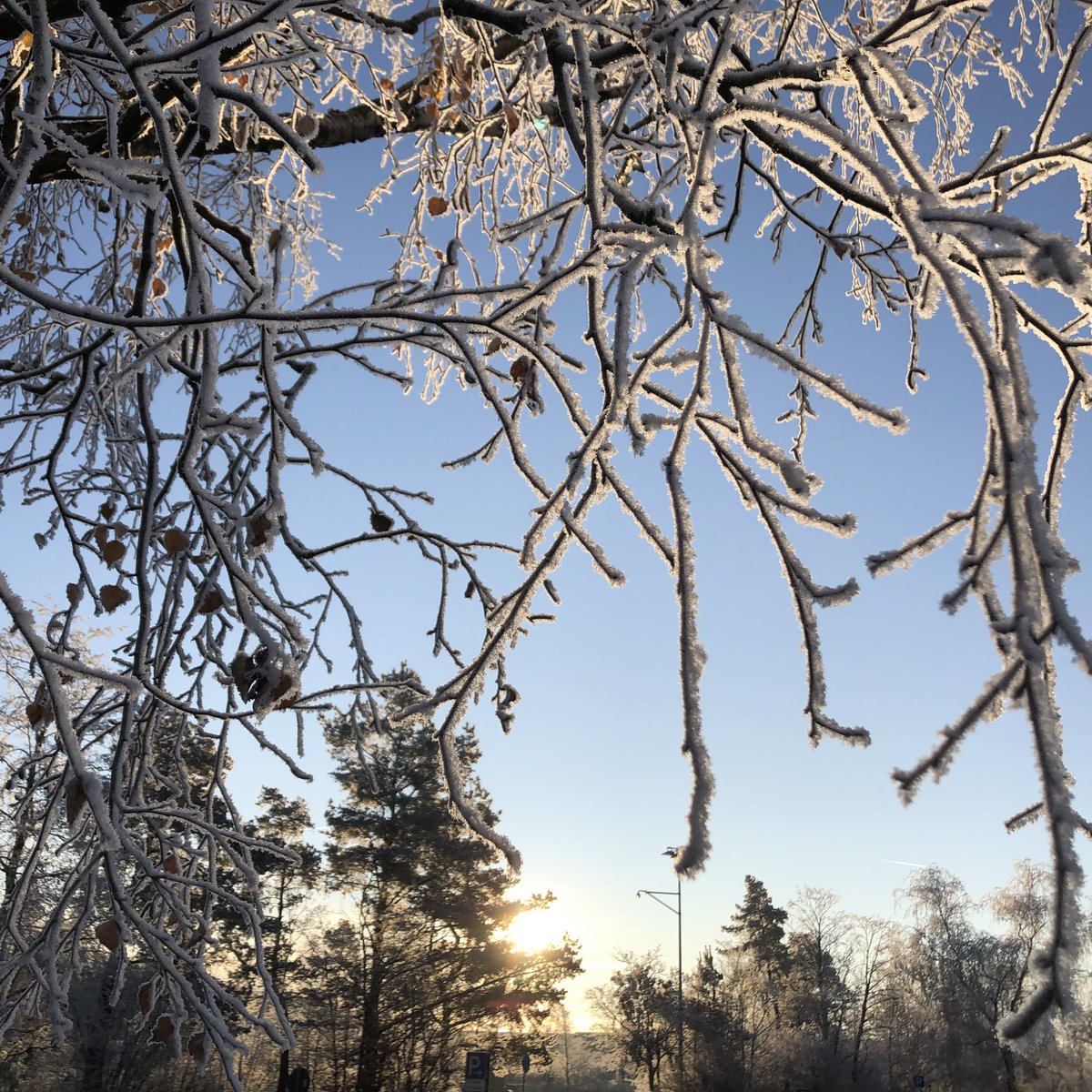 FloetnerD's tweet photo. In Ottobrunn @AirbusDefence they call it ‚zapfig‘ &amp; at -8°C, I think that’s beautiful. #WinterWonderland #WeMakeItFreeze #NoFilterJustLight @AgueraMartin @floairbus @JsGasco @RaithSabrina @FlorianTaitsch @g_steuer @typhoonist @nc_digital https://t.co/vkxQ7VjyOL