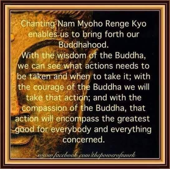 NonyabusinessE's tweet image. #buddhism #namyohorengekyo #purityofmind #healingcrystals