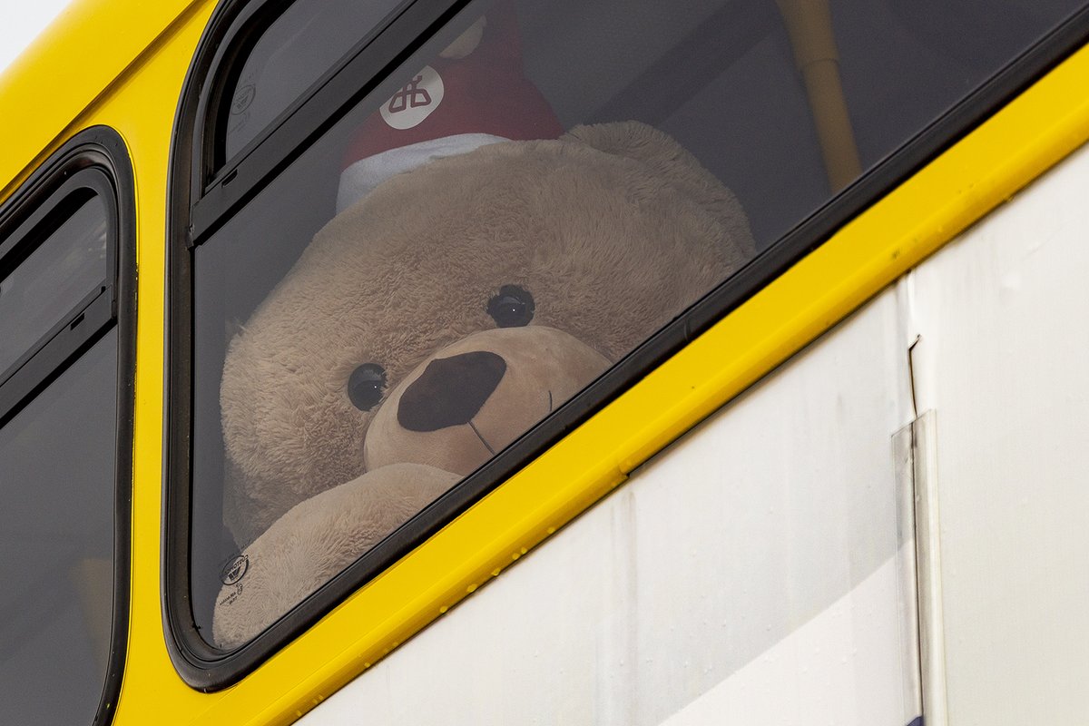 dublinbusnews's tweet photo. Ted loves watching the Christmas time hustle and bustle from the comfort of the bus. To help you cope with the madness he is giving away a €50 One4all as part of our #12DaysOfChristmas Comp. For your chance to #win simply RT with #DBChristmas https://t.co/KEoWg8hcHK
