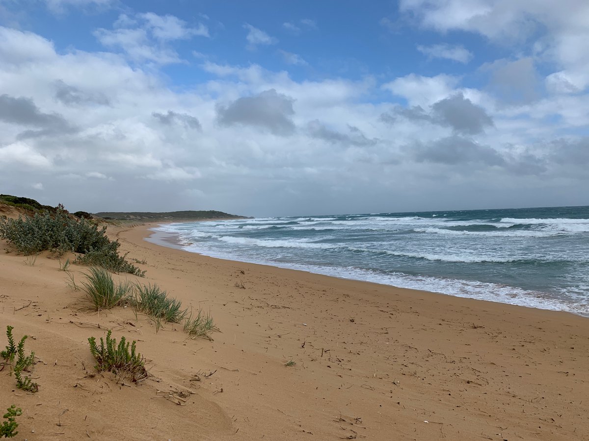 StephanieDoumt3's tweet image. Had an awesome week down @Deakin Warrnambool using drones to measure landscape change along Victoria’s coast. It was also a great opportunity to map a river revegetation project for the Glenelg and Hopkins CMA, to monitor the projects success. 
#drones  #vcmp @UniMelbscicomm