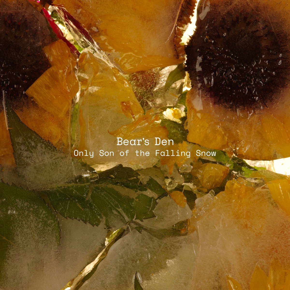 We are beyond excited to release our Winter EP ‘Only Son of the Falling Snow’ TODAY! We’re incredibly proud of the songs and had a lot of fun working on them with our long-time friend and collaborator Ian Grimble. We really hope you like it. Listen now: Bearsden.lnk.to/OSOTFS