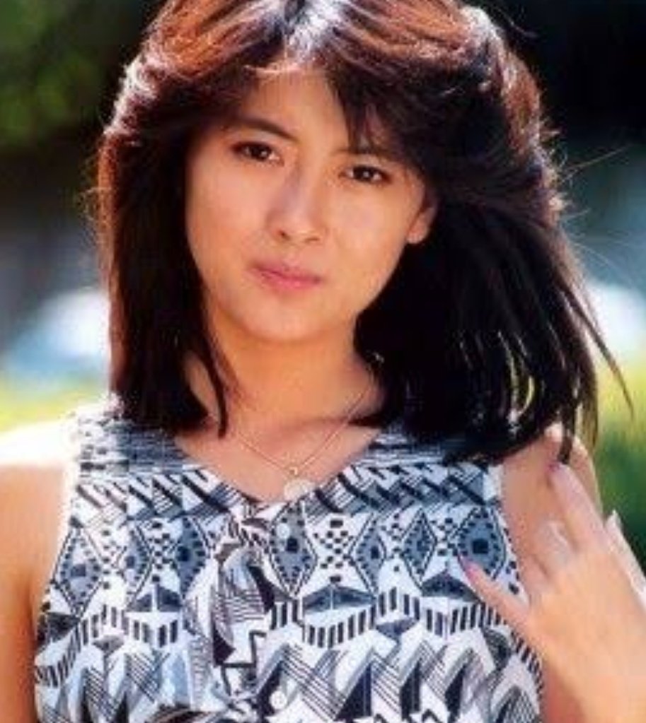 中山美穂 ラミネートカード H ブロマイド ミポリン １５枚 爆買い H