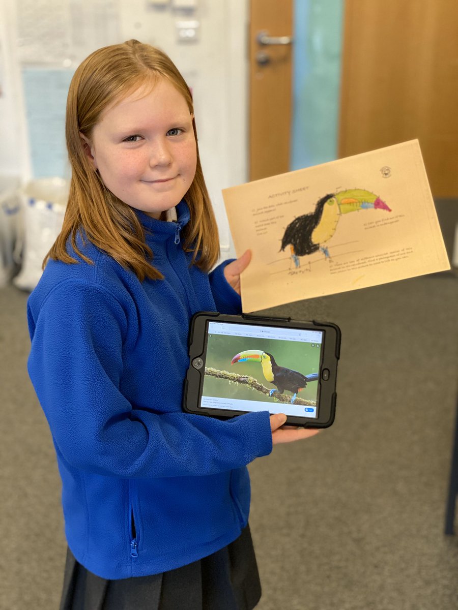 Cuiken_Primary's tweet photo. That’s a pretty fly Toucan by this creative P4 #Rainforest #CuikenToolkit https://t.co/QyEs9VAXDK