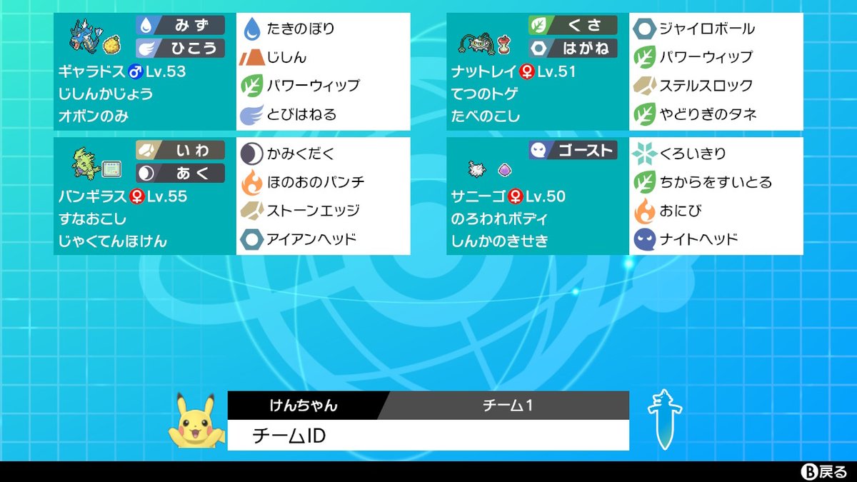 パーティー 盾 ポケモン 剣