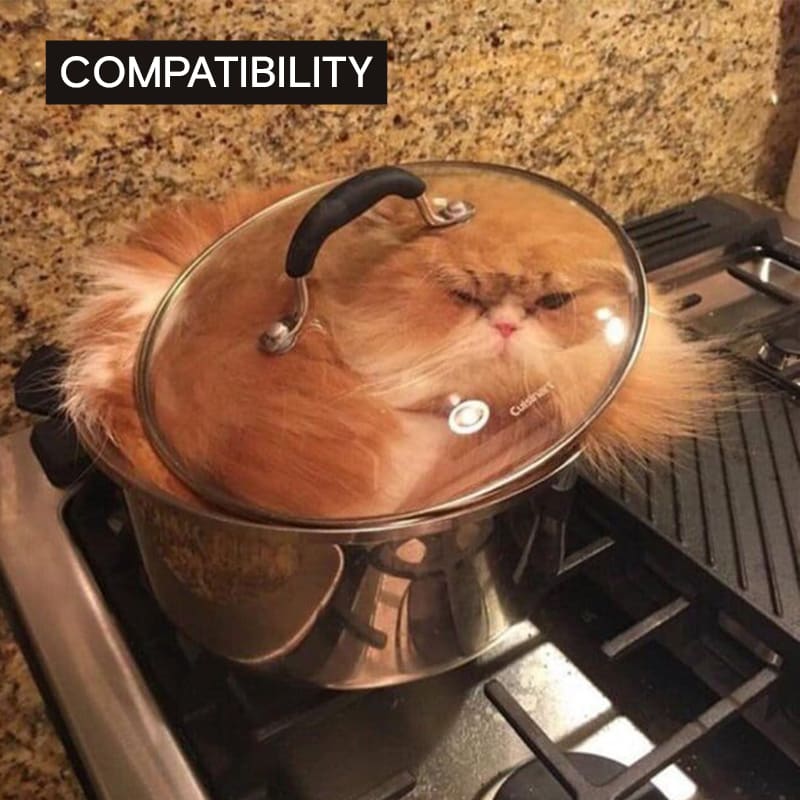 QATestLab's tweet image. Look how we associate different types of testing with🐱and their daily behavior.
📍Compatibility Testing📍
Compatibility checks if the software operates as intended in a specific environment. Well, this pet definitely knows what he is doing😁
#compatibilitytesting #testing