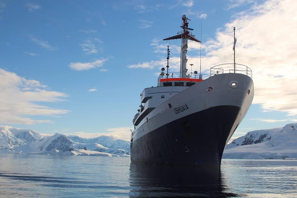 Judith Sheft tweet media