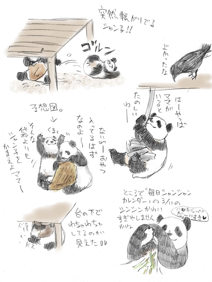 去年は「シャンちゃん独り立ちハラハラ」て見守ってた12月 
