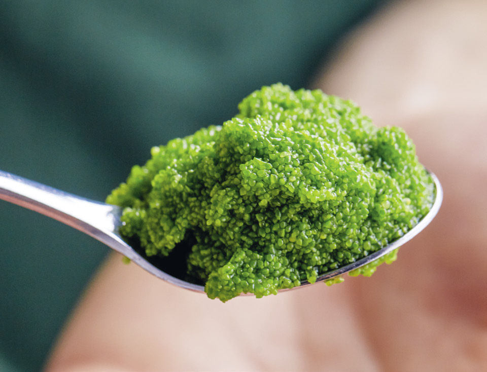 Photo: ETH Foundation / Das Bild