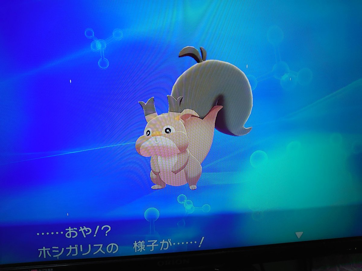 紅人 あかいと うちのホシガリスちゃんが ヨクバリスに進化しました 進化前は可愛かったのに 進化するとおじさんみたいになった ポケモン ポケモン剣盾 ポケモンソードシールド ポケットモンスター ポケットモンスター剣盾 ポケットモンスター 紅人 あかいと うちのホシガリスちゃんが ヨクバリスに進化しました 進化前は可愛かったのに 進化するとおじさんみたいになった ポケモン ポケモン剣盾 ポケモンソードシールド ポケットモンスター ポケットモンスター剣盾 ポケットモンスター