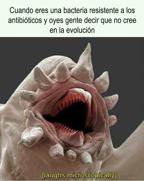 cuantocabron's tweet photo. Las bacterias traman algo https://t.co/zPUVNJd2Jm https://t.co/qVNPf0pWA3