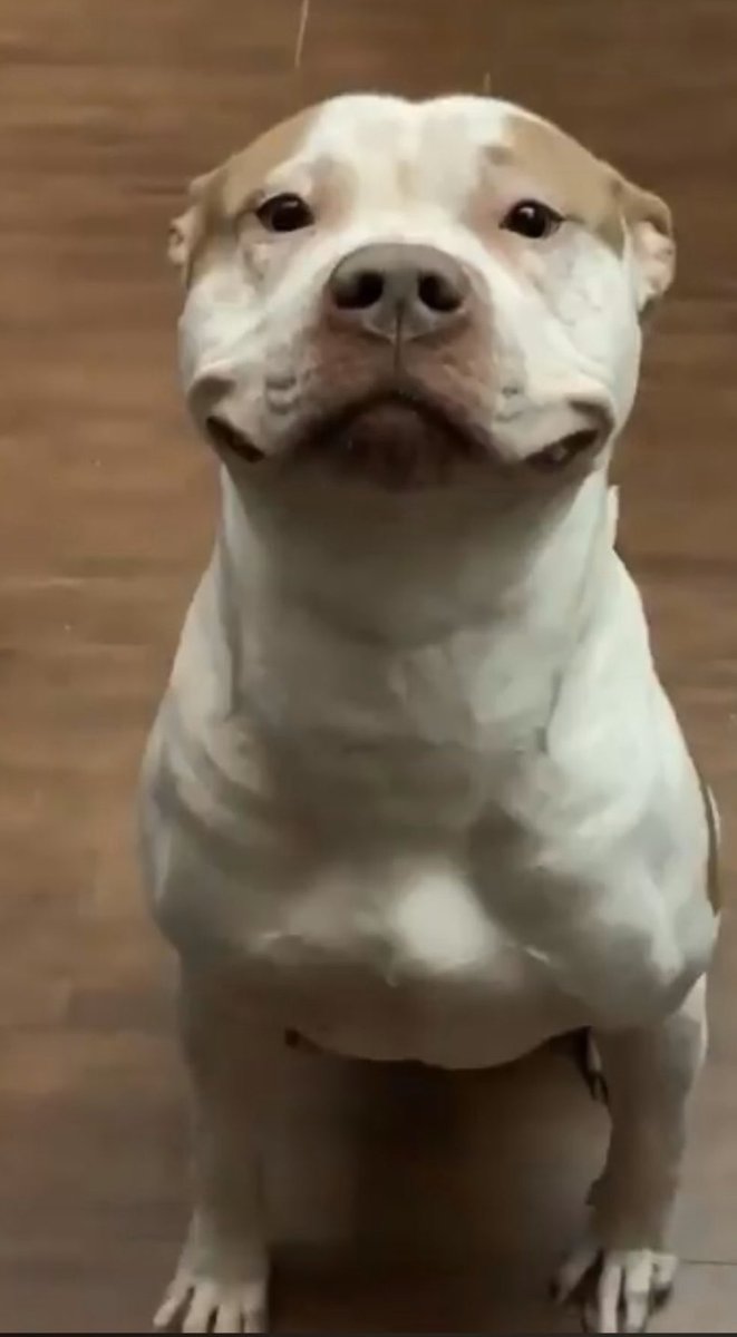 Barstool Platte County tweet media