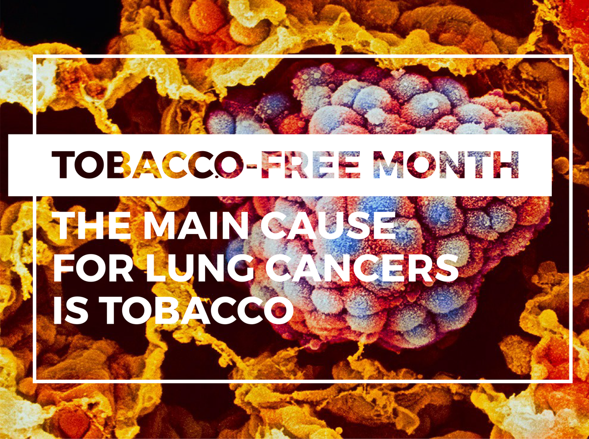 More than 200,000 people participated in the smoke-free month in November 👏👏👏👏

On this occasion, find our article on tobacco-related diseases 👇
ow.ly/rDjc50xtxRq

#November #tobaccofreemonth #tobacco #health #science