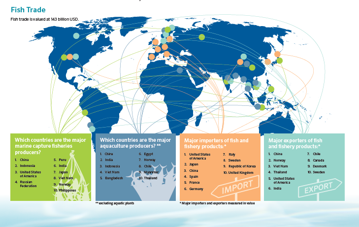 dibaqaqua's tweet photo. RT @FAOfish

How much #DYK about fish #trade? Time to brush up! Which countries are the biggest players in #trade of #fisheries &amp; #aquaculture products? See this @FAOfish infographic to learn more. #SOFIA2018 https://t.co/qFjwy1058s