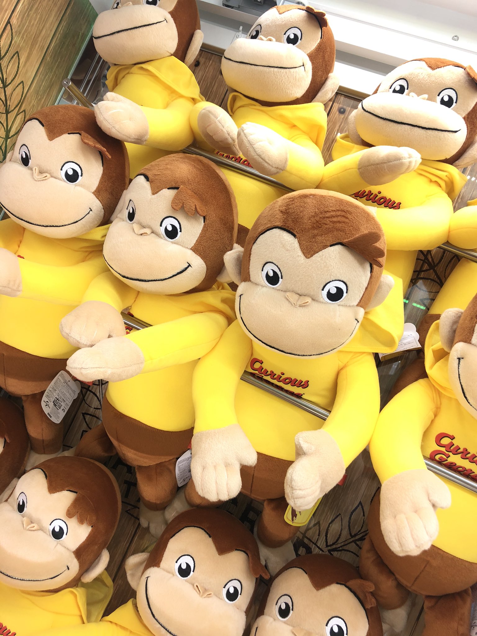 タイステ立川北口 24時まで営業中 Di Twitter 2f プライズ 新景品 おさるのジョージ メガジャンボパーカーぬいぐるみ 全1種 大人気 おさるのジョージ ちゃんより パーカーを着ている可愛らしいぬいぐるみが登場 パーカーは頭にかぶせられます