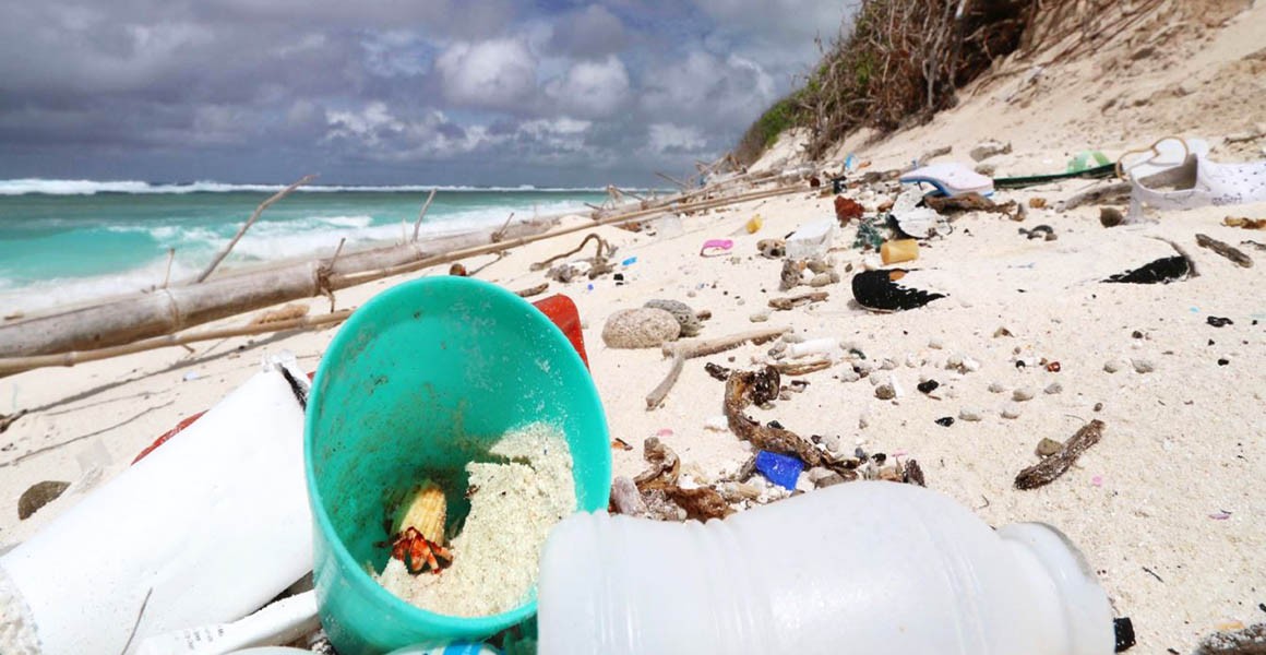 HelloSaveEarth's tweet photo. Over 600,000 hermit #crabs die in #plastic bottles on two remote #islands
https://t.co/XQgtbavBbC

#plasticfree #trash #HSE #hellosaveearth #recycling #myplasticmyresponsibility #saveearth

@HelloSaveEarth https://t.co/LvvJbO5E3x