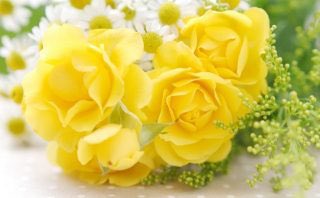 怖い意味の花言葉を持つ35の花をご紹介 贈るときには要注意 Lovely