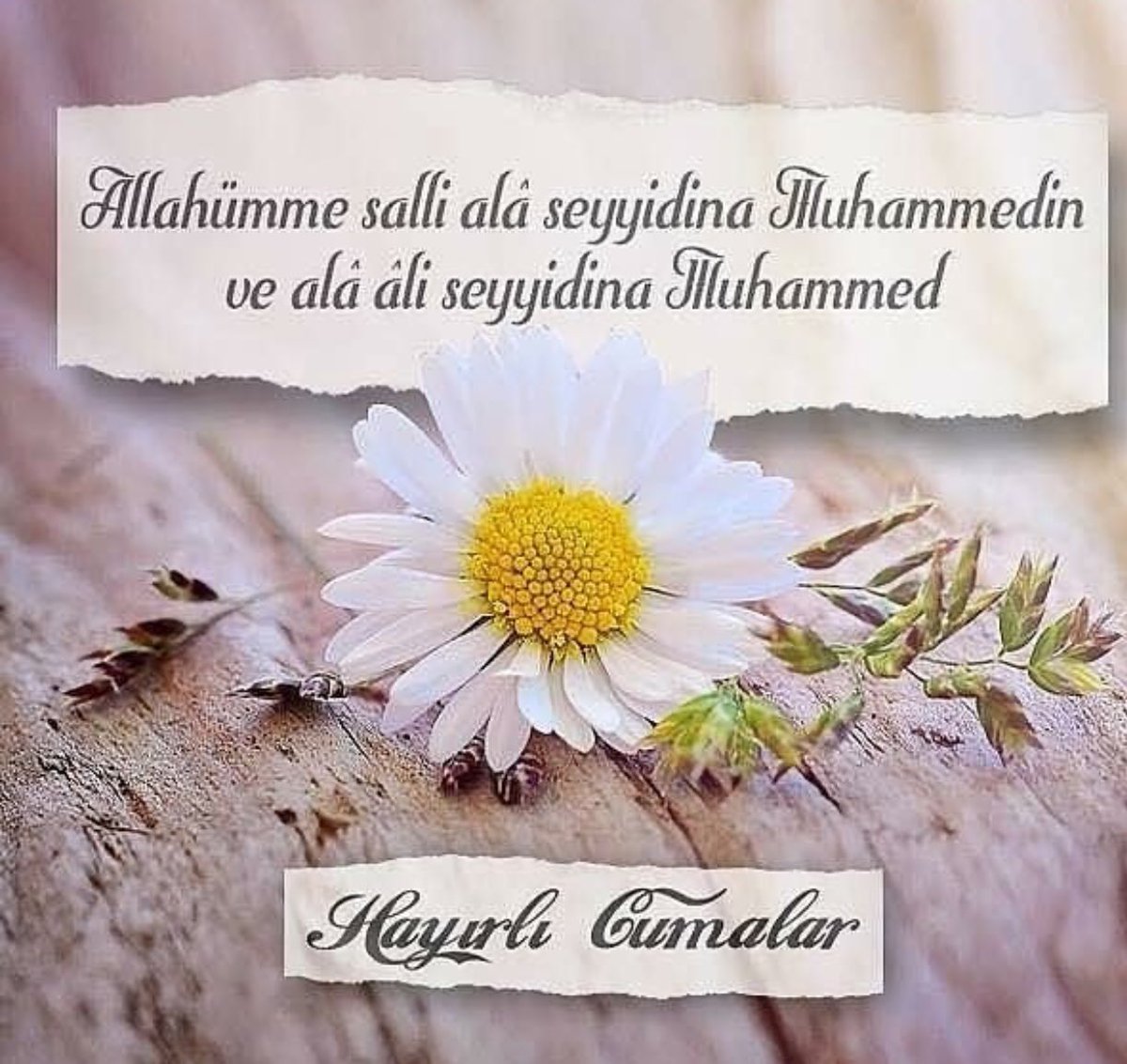 Adamın birisi çıkıyor yarın deprem olacak diyor herkes tedbirini alıyor.
Kur’an Diyor ki ;
Yarın Ahiret Var Cehennem Var!
Kimse oralı olmuyor..

Nasıl yaşarsan öyle ölürsün. Öyle bir yaşa ki Rabbim kulum senden Razıyım desin

Rabbim Cümlemizden Razı Olsun 🤲

#HayırlıCumalar 🕋🌹