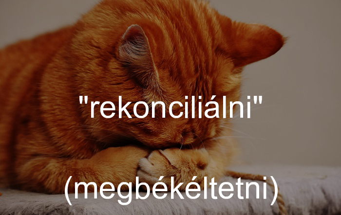 Magyarizált szavak és kifejezések (@magyarizalt) on Twitter photo 