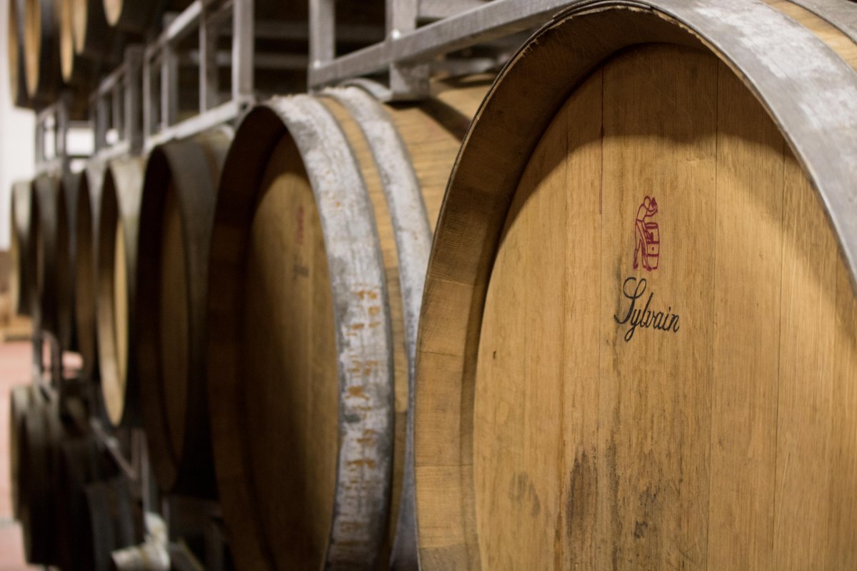 BrewDog OverWorks tweet media