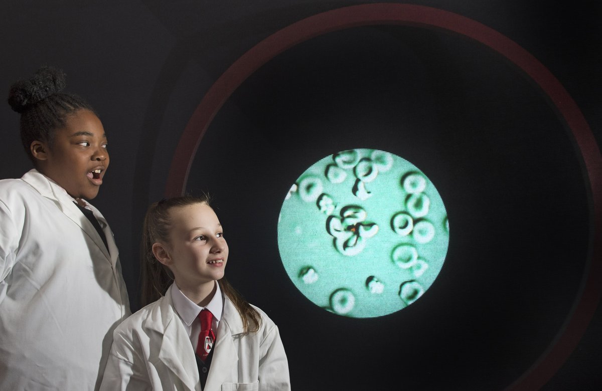 National Museums Scotland (@ntlmuseumsscot) on Twitter photo We are at war with an invisible enemy – five tiny parasites that cause some of the most devastating diseases.
🔬 #Parasites: Battle for Survival is now open at the National Museum of Scotland!
nms.ac.uk/parasites
<a href="/WCIPGLASGOW/">Centre For Parasitology</a> <a href="/WCAIRDundee/">WCAIR Univ of Dundee</a> <a href="/edin_EID/">Edinburgh Infectious Diseases</a> We are at war with an invisible enemy – five tiny parasites that cause some of the most devastating diseases.
🔬 #Parasites: Battle for Survival is now open at the National Museum of Scotland!
nms.ac.uk/parasites
<a href="/WCIPGLASGOW/">Centre For Parasitology</a> <a href="/WCAIRDundee/">WCAIR Univ of Dundee</a> <a href="/edin_EID/">Edinburgh Infectious Diseases</a>
