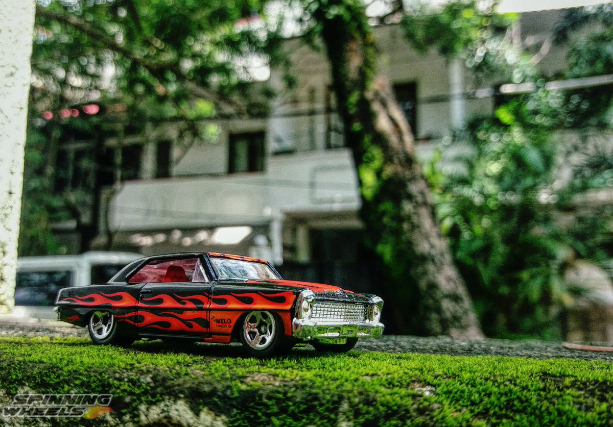DiecastSwheels's tweet photo. '66 Chevy Nova #Chevy❤
#hotwheelscollector #diecaatcollector #diecatcollection #myyard #wheelscollection #iamspinningwheels #diecastphotography #mycollection #miniphotography #HotWheels #selfmadegarage https://t.co/bJ3IXx33a3