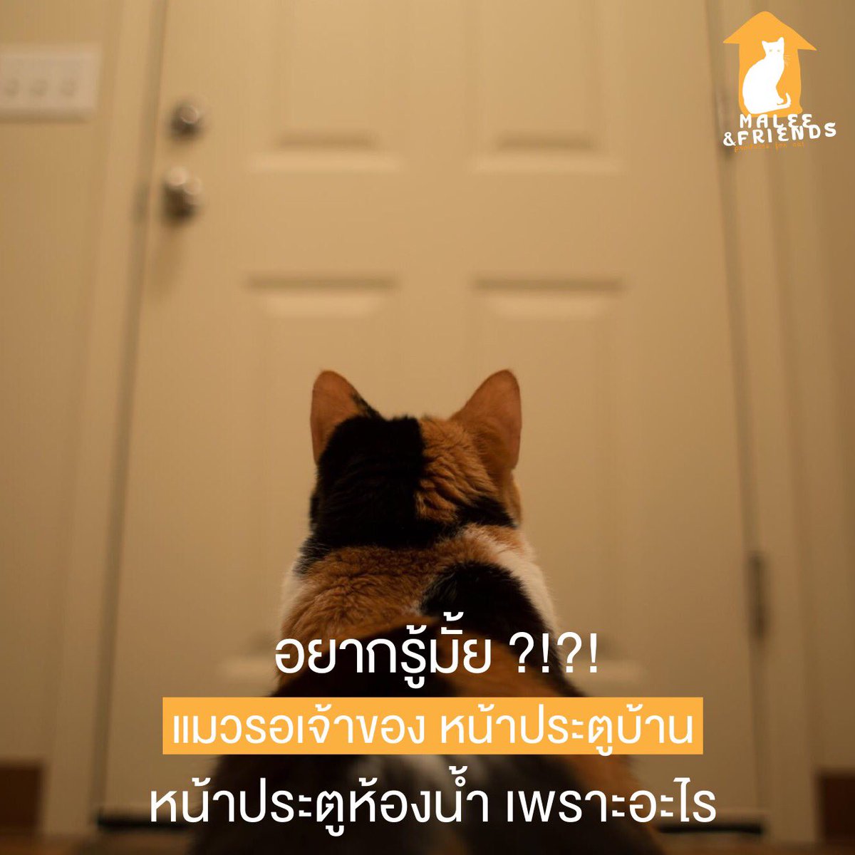 —•กก๊ะกกุง'깎뀽~¡ tweet media