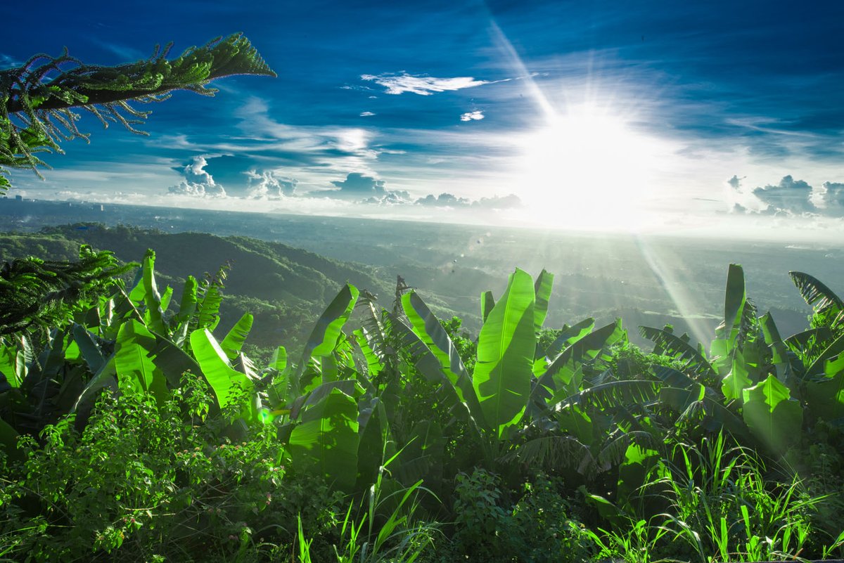 陳發財(Tom) tweet media