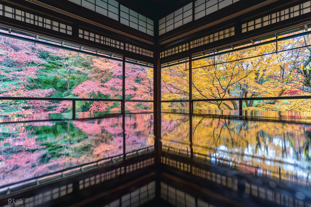 てんでんまい Re 晩秋絵巻 瑠璃光院 京都 紅葉 riii Zeiss