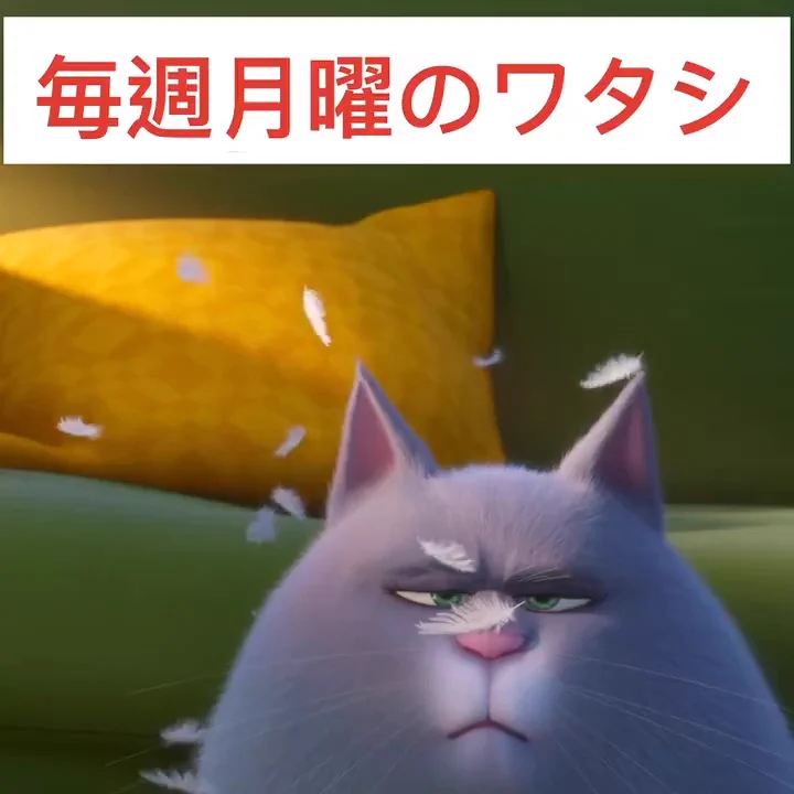 映画『ペット2』公式アカウント (@PetMovieJP) / X