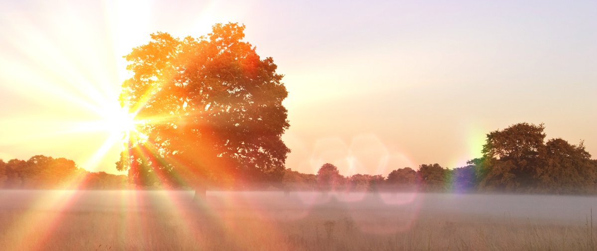 Here's a few advantages to buying prescription sunglasses over the winter months! #prescriptionsunglasses #sunglasses #designersunglasses #hailsham #eastsussex
focusmedicaleyecentre.co.uk/why-you-should…