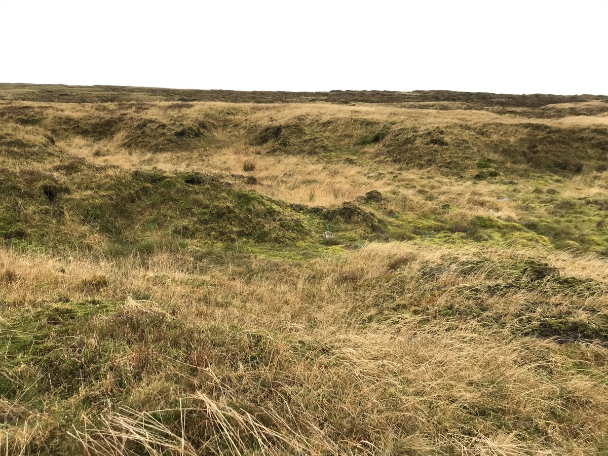 MoorCitizens's tweet photo. Back in October, we spotted this mountain hare up on Bleaklow whilst measuring the moorland water table, have you seen any mountain hares in their white winter coats? https://t.co/5QQZQSEv81