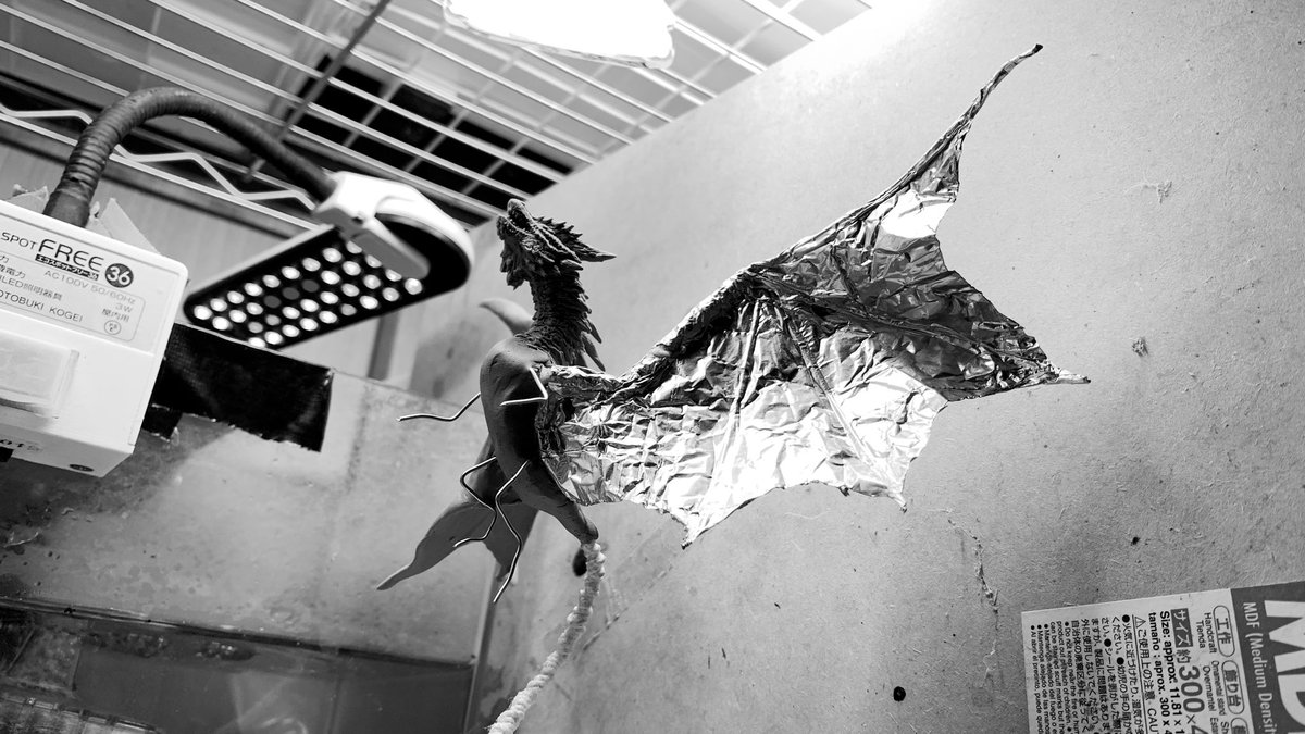 確認(  ˊᵕˋ  )♡画像8枚 成体